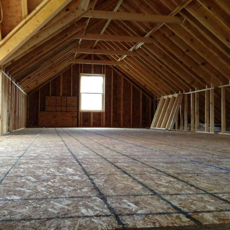Attic floor requiring cleanup after bat guano